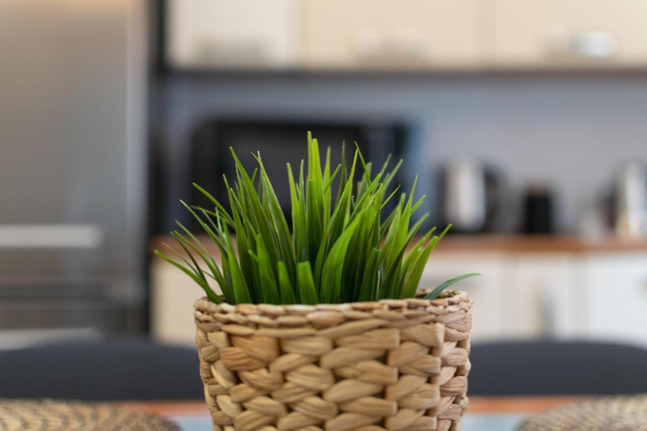La Casa Di Debby Parcheggio Wi-Fi , Aria Condizionata Gratuiti Apartment Capannori Luaran gambar